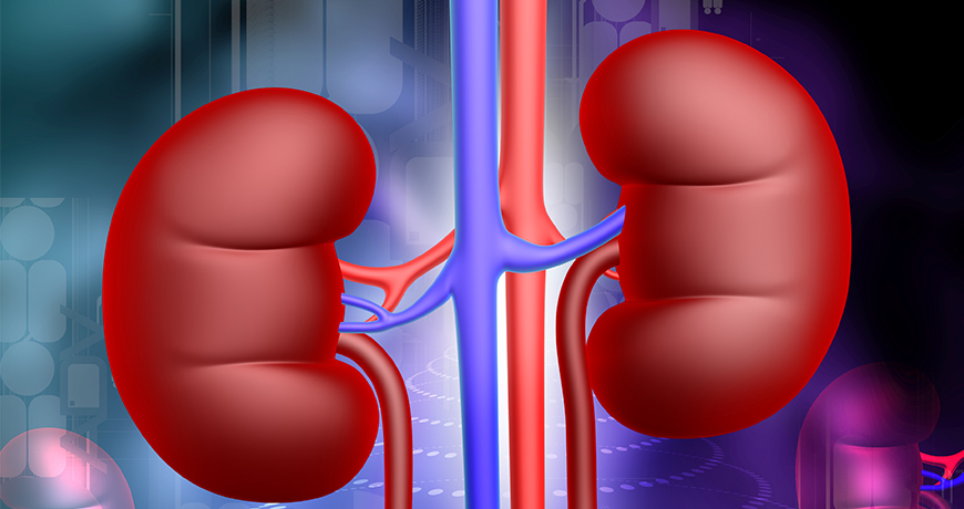 Kidney Diseases